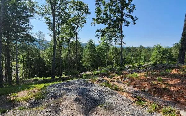 Mineral Bluff, GA 30559,LOT 18 Mountain Laurel Ridge