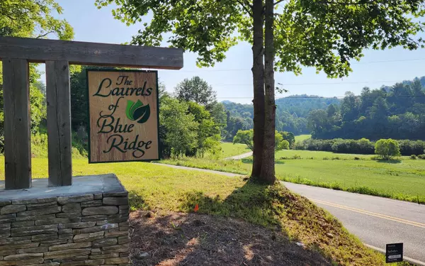 Mineral Bluff, GA 30559,LOT 18 Mountain Laurel Ridge