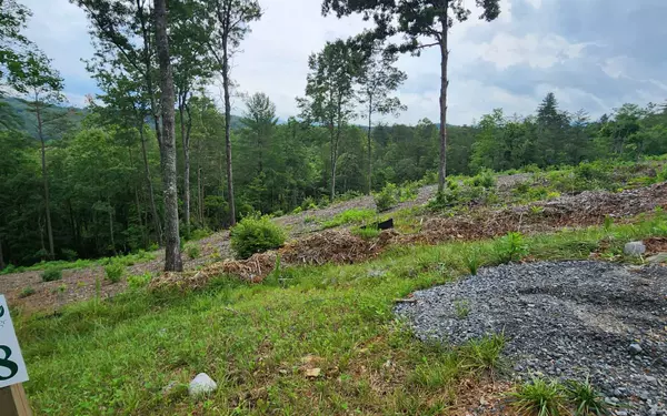 Mineral Bluff, GA 30559,LOT 18 Mountain Laurel Ridge