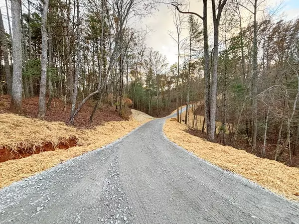 Ellijay, GA 30540,Lot 4 Mt. Springer Road