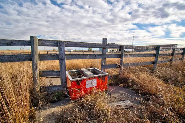 Rural Mountain View County, AB T0M 0N0,4-31035 Range Road 281