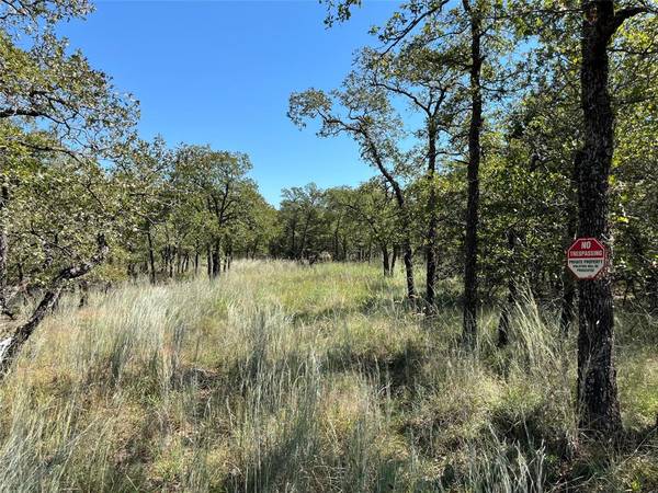 Bowie, TX 76230,lot 431 Bluffs Avenue