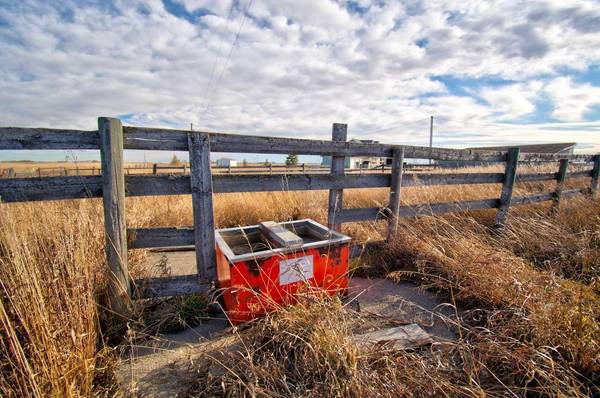 Rural Mountain View County, AB T0M 0N0,4-31035 Range Road 281