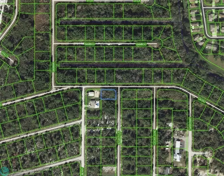 1218 Ailanthus St, Lake Placid, FL 33852