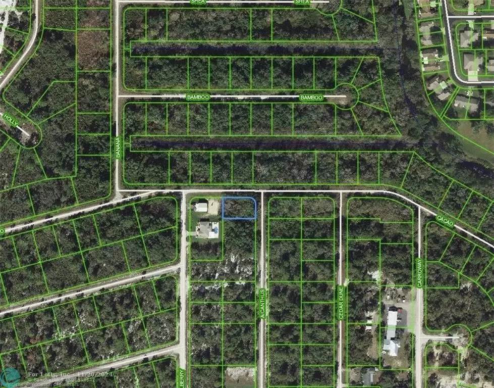 Lake Placid, FL 33852,1218 Ailanthus St