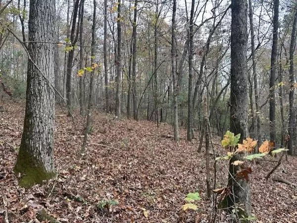 Ellijay, GA 30536,Lot 11 Clear Creek Preserve Way