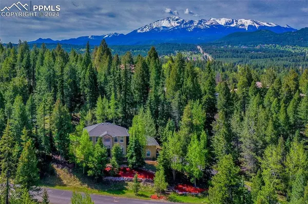 Woodland Park, CO 80863,3250 Regent DR