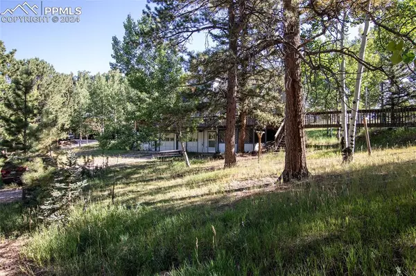 Woodland Park, CO 80863,21 Valley LN