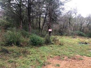 Mabank, TX 75147,TBD Cedar Acres Loop