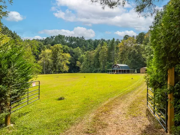 Ellijay, GA 30540,1295 Stillwell Road