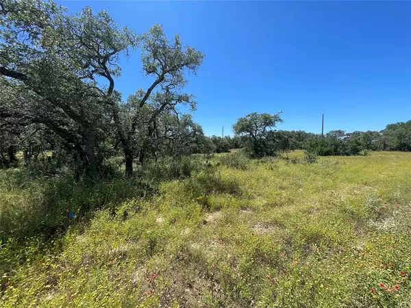 Brownwood, TX 76801,1064 Overlook Drive