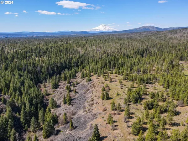 Lot 5 Rangers Meadow RD #5, Goldendale, WA 98620