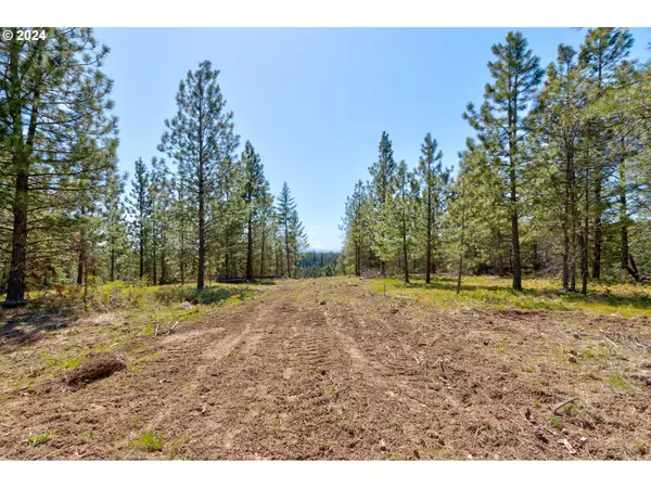 Goldendale, WA 98620,Lot 5 Rangers Meadow RD #5