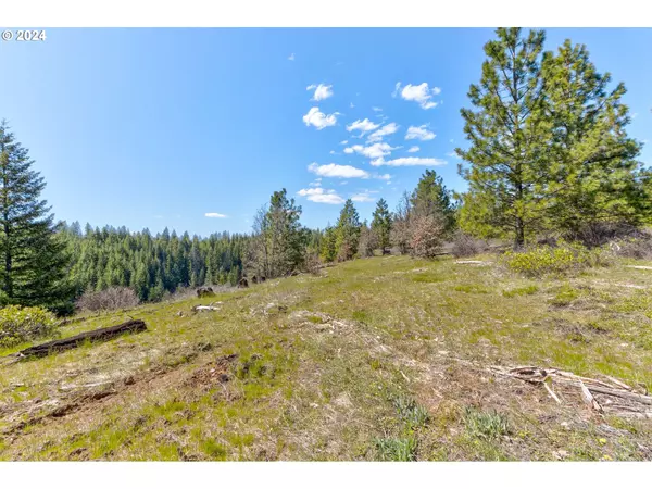 Goldendale, WA 98620,Lot 5 Rangers Meadow RD #5