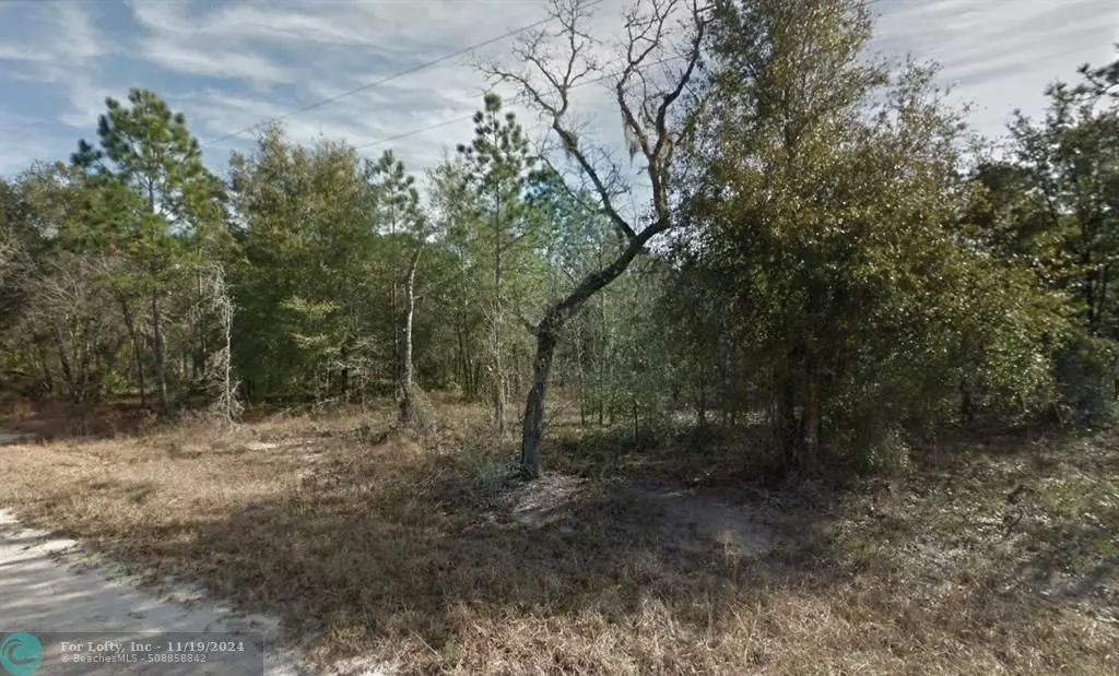 Williston, FL 32696,000 NE 155 CT