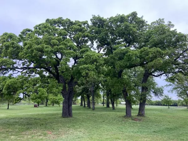 Jacksboro, TX 76458,10393 State Hwy 148