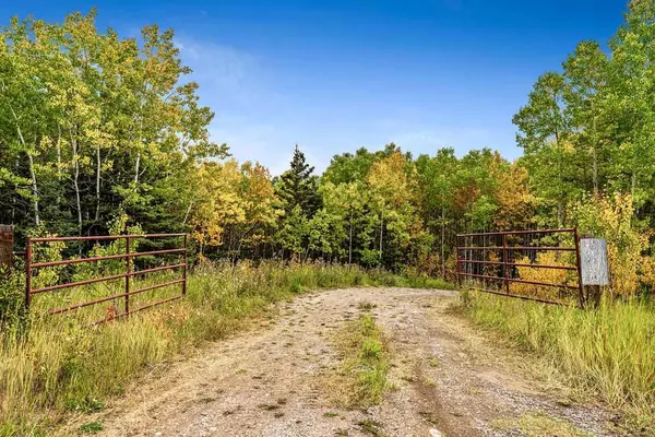 Rural Foothills County, AB T0L 1W0,64 Hawk's Landing DR