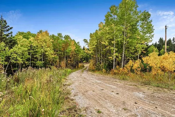 Rural Foothills County, AB T0L 1W0,64 Hawk's Landing DR