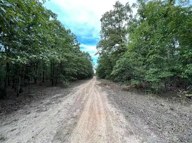 Blossom, TX 75416,Lot 3 Christine Street