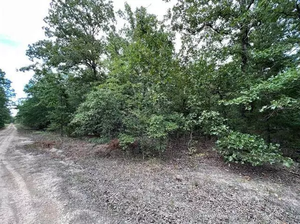 Blossom, TX 75416,Lot 3 Christine Street