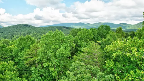 Ellijay, GA 30536,0 MT MCGRUDER RD- 48.26 acres