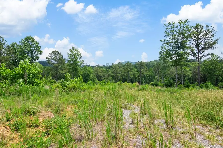 Lot 196 Oak Park Drive, Talking Rock, GA 30175