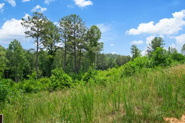 Talking Rock, GA 30175,Lot 196 Oak Park Drive