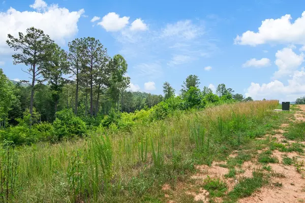 Talking Rock, GA 30175,Lot 197 Oak Park Drive