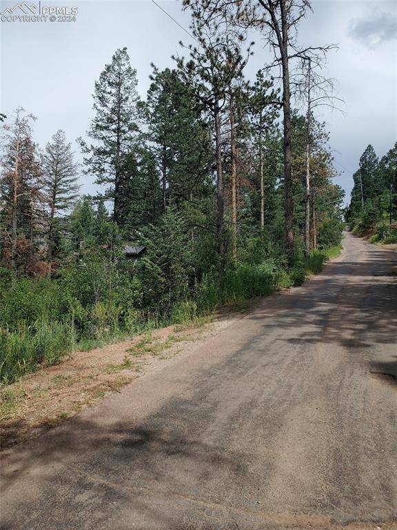 Ute RD, Cascade, CO 80809