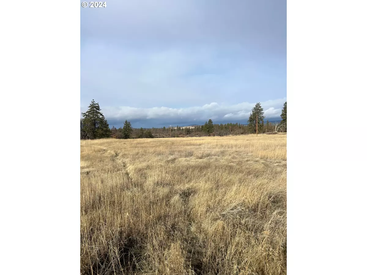 Goldendale, WA 98620,Sara View DR