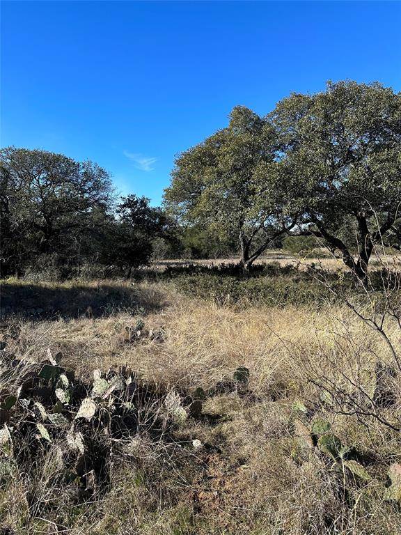 Brownwood, TX 76801,127 Woods Landing Drive