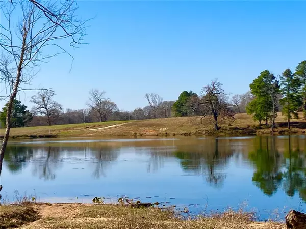 Big Sandy, TX 75755,Lot 64 White Oak Creek