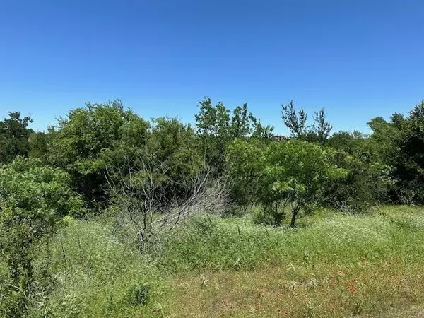 Graford, TX 76449,Lot 623 Caprock Court