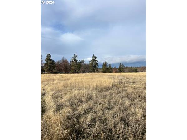 Goldendale, WA 98620,Sara View DR