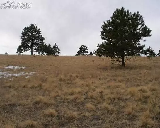 Cripple Creek, CO 80813,271 Moffat CIR