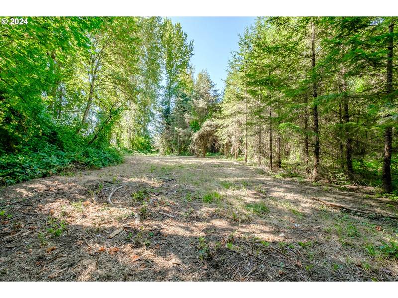 Matheny (Lot 2) RD, Gervais, OR 97026