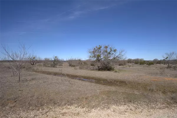 Palo Pinto, TX 76484,Lot 8 Harper Trail