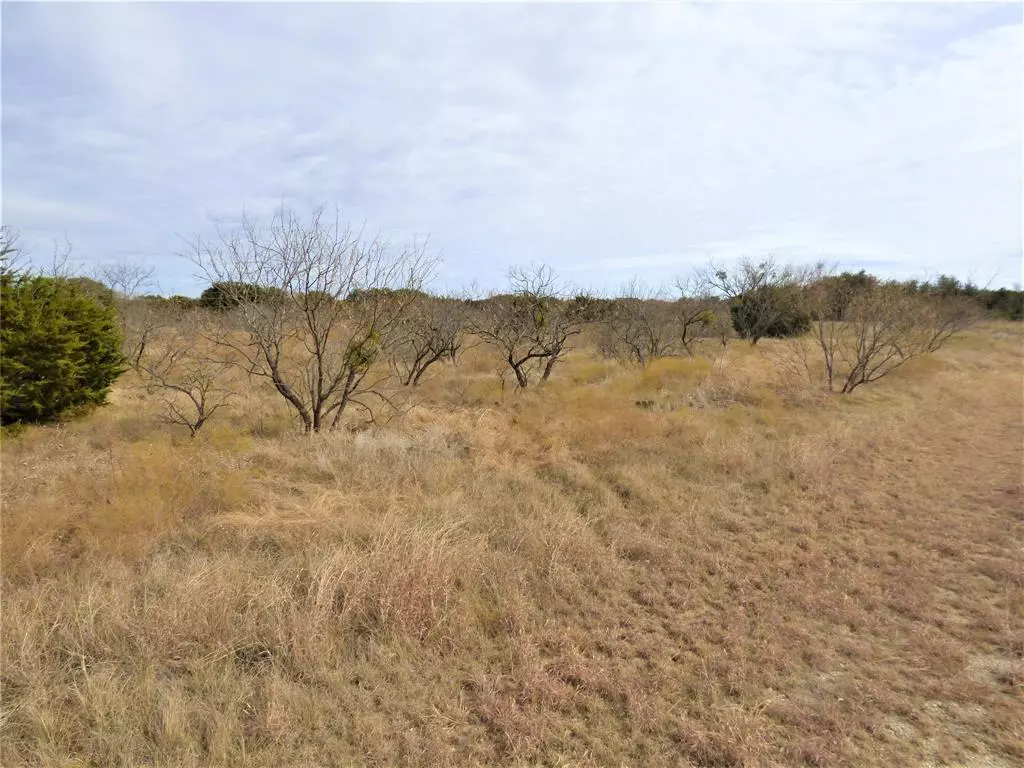 Eastland, TX 76448,Lot 4&5 Robert Parker Way