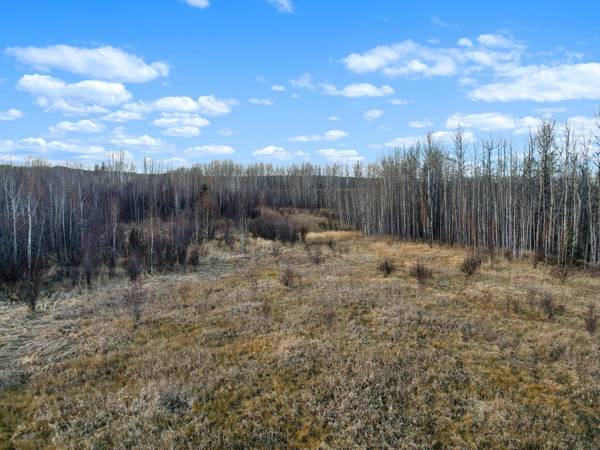 Rural Woodlands County, AB T0E 1N0,Lot 2, Willowside Estates