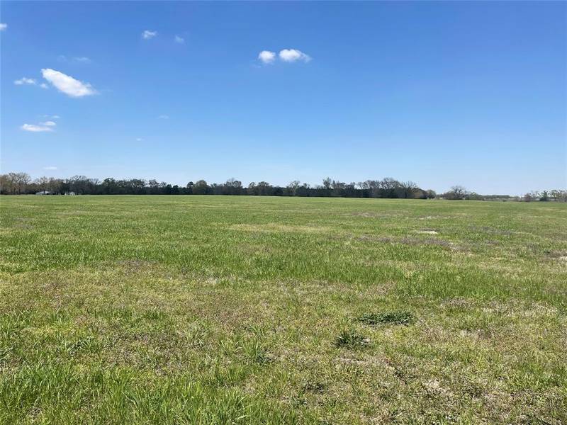 TBD County Road 2375, Winnsboro, TX 75494