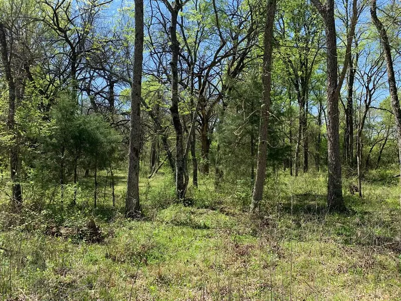 Lot 19 County Rd 4106, Greenville, TX 75401