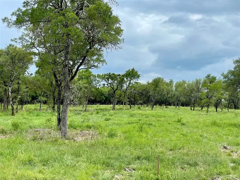 Lot 59 Greene Road, Weatherford, TX 76087