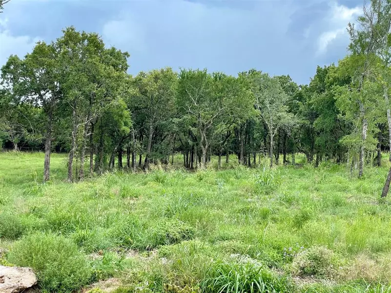 Lot 60 Greene Road, Weatherford, TX 76087