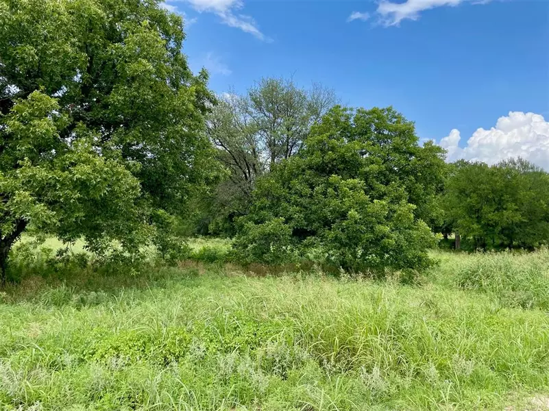 Lot 68 Greene Road, Weatherford, TX 76087