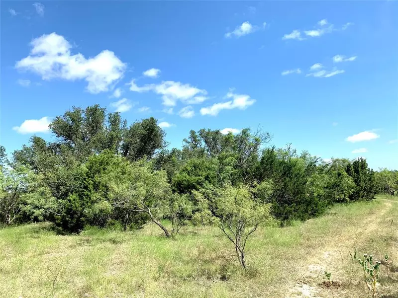 44 Ac TBD County Road 255, Comanche, TX 76442