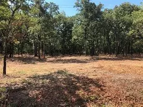 Paradise, TX 76073,811 CR 3451