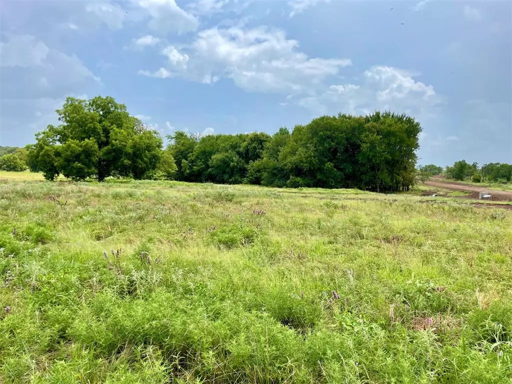 Weatherford, TX 76087,Lot 41 Cartwright Road