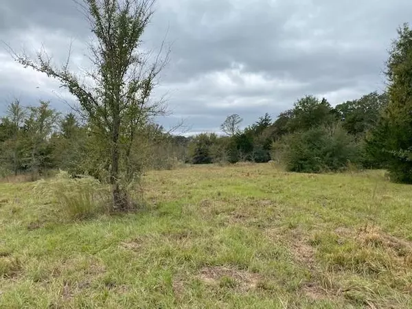 TBD Fcr 248, Fairfield, TX 75840