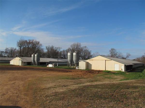 551 County Road 2340, Pittsburg, TX 75686