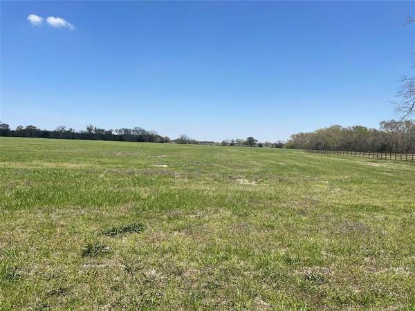 TBD County Road 2375, Winnsboro, TX 75494